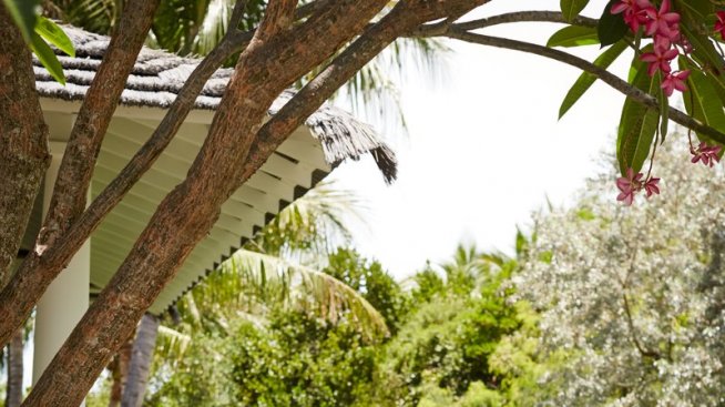 Бахамският оазис на Фейт Хил и Тим Макгроу