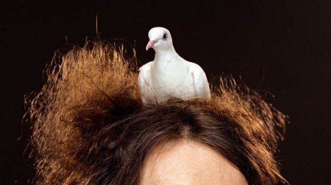 Един нетипичен звезден свят. Светът на Мартин Шьолер