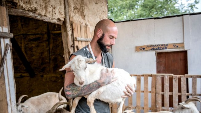 Защо Дидо от D2 е станал вегетарианец?