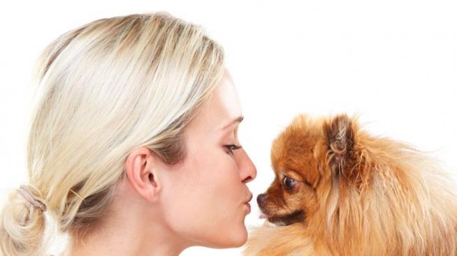 Не целувайте кучето, за да ви останат зъби