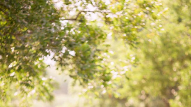 Защо си струва да се срещате с приятел