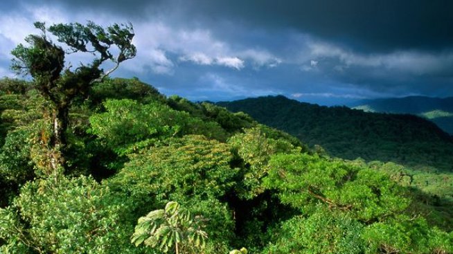 Какво не знаете за Коста Рика