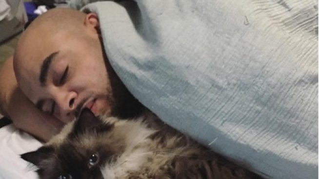 Ново 20: Мъже с малки котета, но не тези на Божинов!