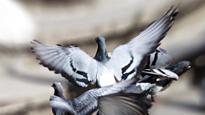 Ясен Савов с изложба на фотоси от Instagram