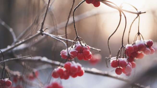 Хороскопът ви за 4 декември