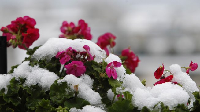 Хороскопът ви за 27 ноември