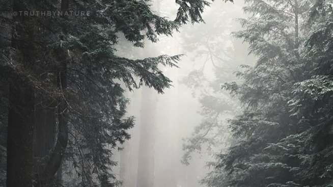 Когато човекът и природата се срещнат