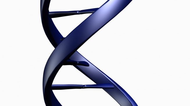 Скоро ще се раждат бебета с трима родители