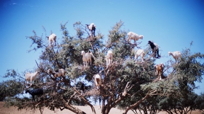 7 невероятни природни явления
