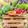 Диета за есента: Какви здравословни храни да ядем