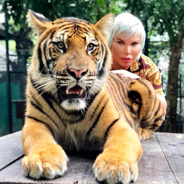 Източник: Rodrigo Alves/Instagram