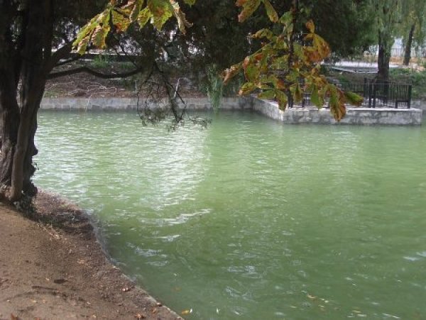 След 20 години езерото Ариана отново е пълно с вода. И-ха. Честито. Зимата всичката тази вода ще стане на лед за ледена пързалка. Снимка: Tialoto.bg
