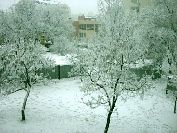 Снимките ни изпрати Теодора Хорозова, която предвидливо си е седяла на топло вкъщи и се е радвала на зимата само през прозореца. Пращайте вашите вдъхновения на info@tialoto.bg з