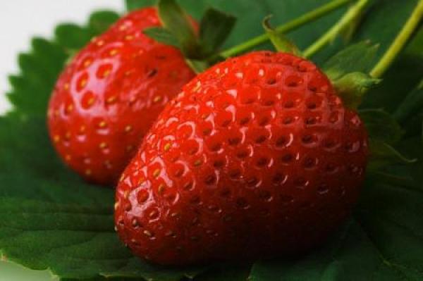 Strawberry fields*Сещате ли за тази ароматна песничка на Бийтълс? Много ретро, но ни