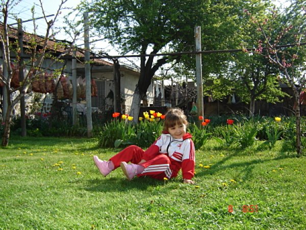 Малкото слънчице на поляната с лалета е на Пепа Беляшка.