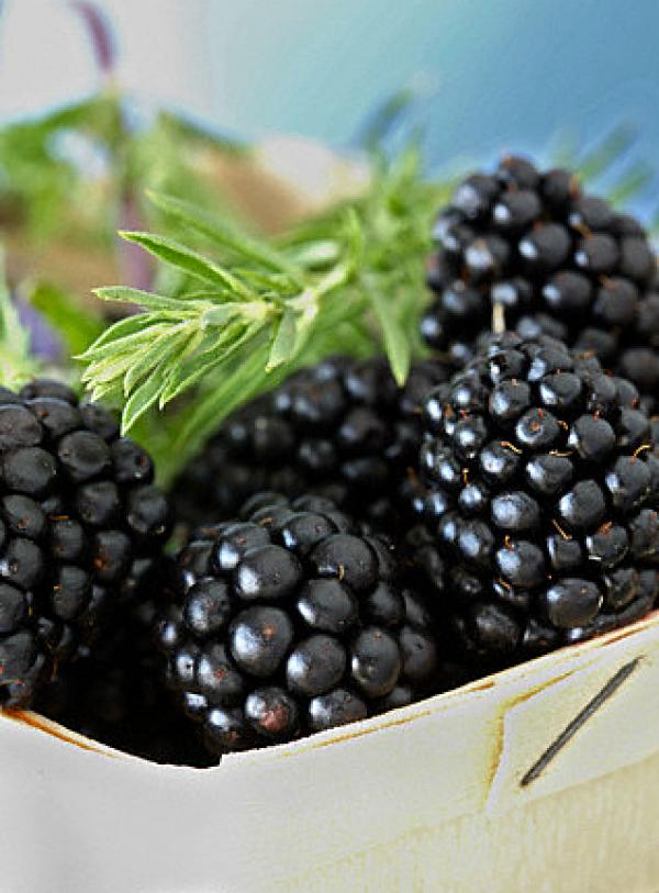 Няма как да минем и без други две класики в жанра - вкусните къпинки и фаталното черно.Лейди Вамп или палава