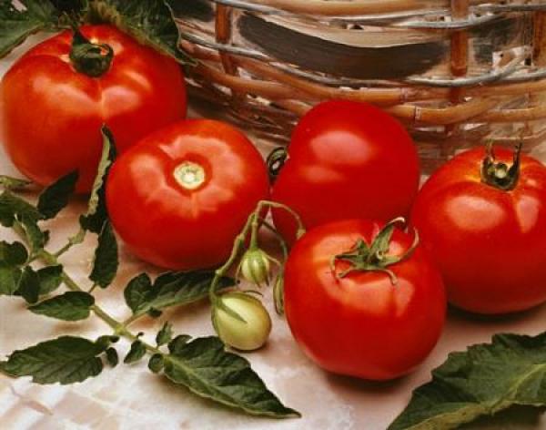 ДоматиЕ, за тях сте наясно – има ги целогодишно, но са най-вкусни през лятото.