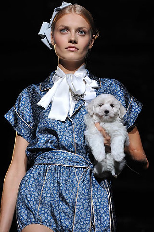 Dolce & Gabbana