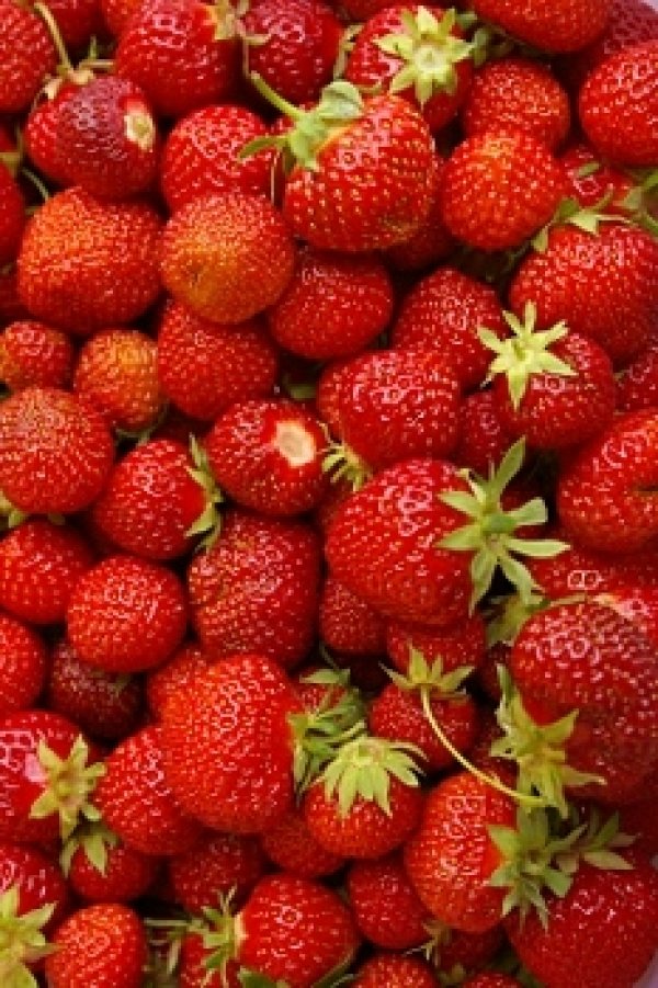 Тонизираща ягодова маскаНеобходими продукти:1 белтък1 ягодка1 с.л. нишестерозова вода
