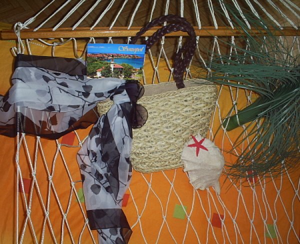 от Живка Василева