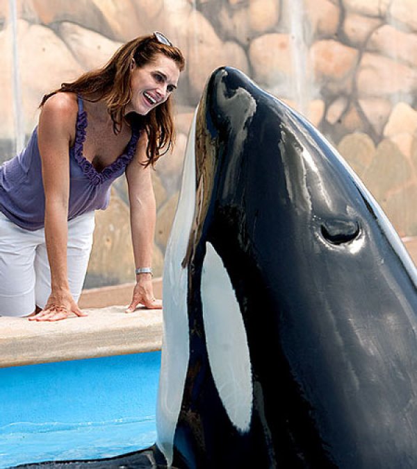 Брук Шилдс се срещна от близо с кит косатката Шаму.