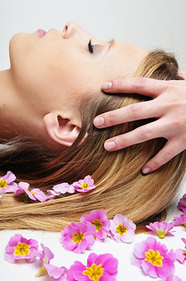 Суха до много суха косаВсяка дама със суха коса знае, че и най-малкото нещо може да й се отрази много зле – климатични промени, храна, сешоари, преси, ролки...Дори шампоаните за сух