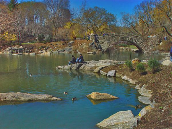 Gapstow Bridge