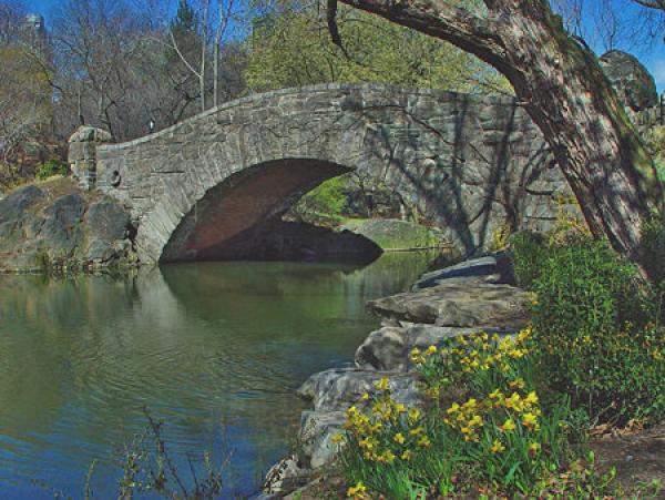 Gapstow Bridge