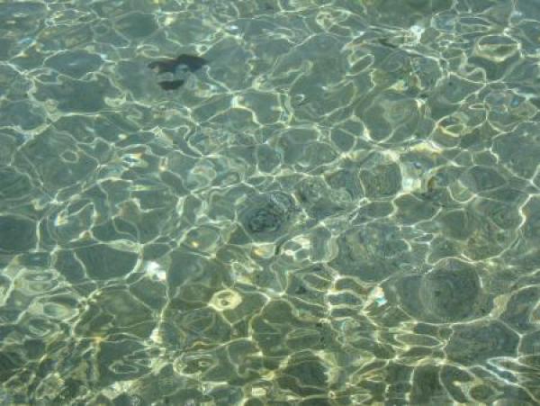 Кой каза, че българското Черноморие не е чисто? Водата е все така кристална дори и на 2 метра дълбочина, а пясъкът отдолу се превръща в същинска природна мозайка.