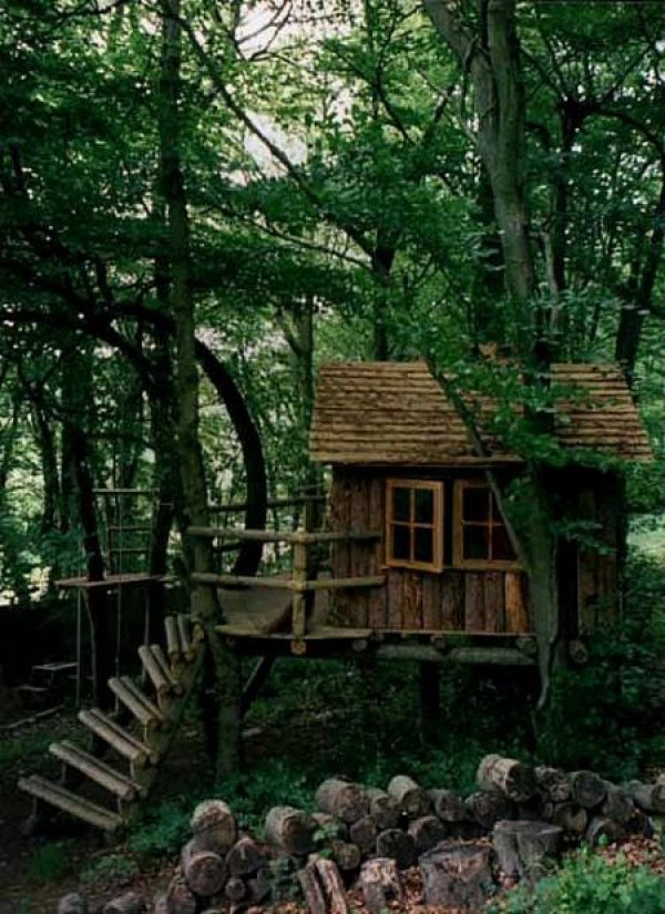 Снимка: WildWood