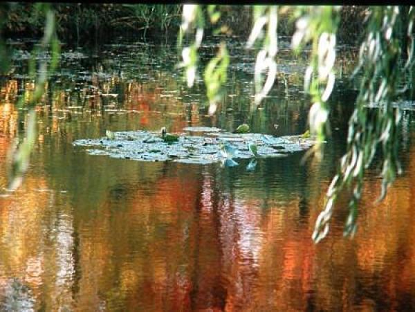 Снимка: Giverny.org