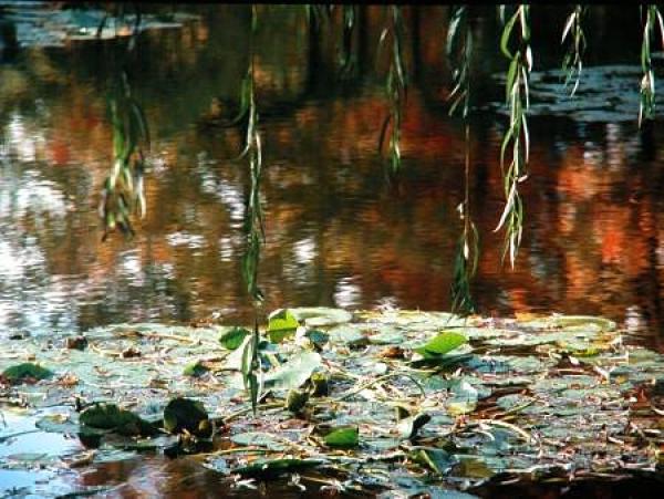 Снимка: Giverny.org