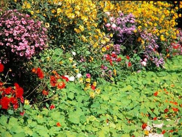 Снимка: Giverny.org