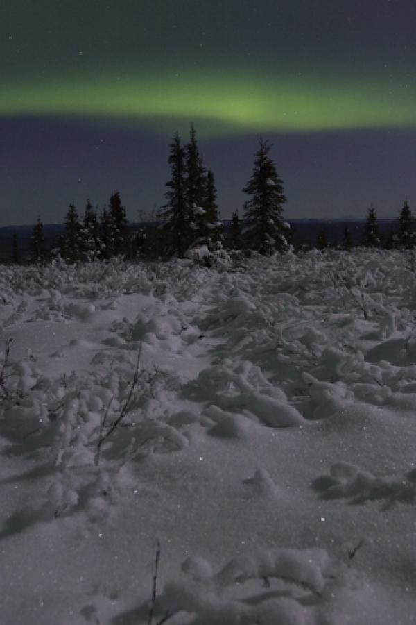 Северното Сияние, или Aurora BorealisСнимка: Dreamstime