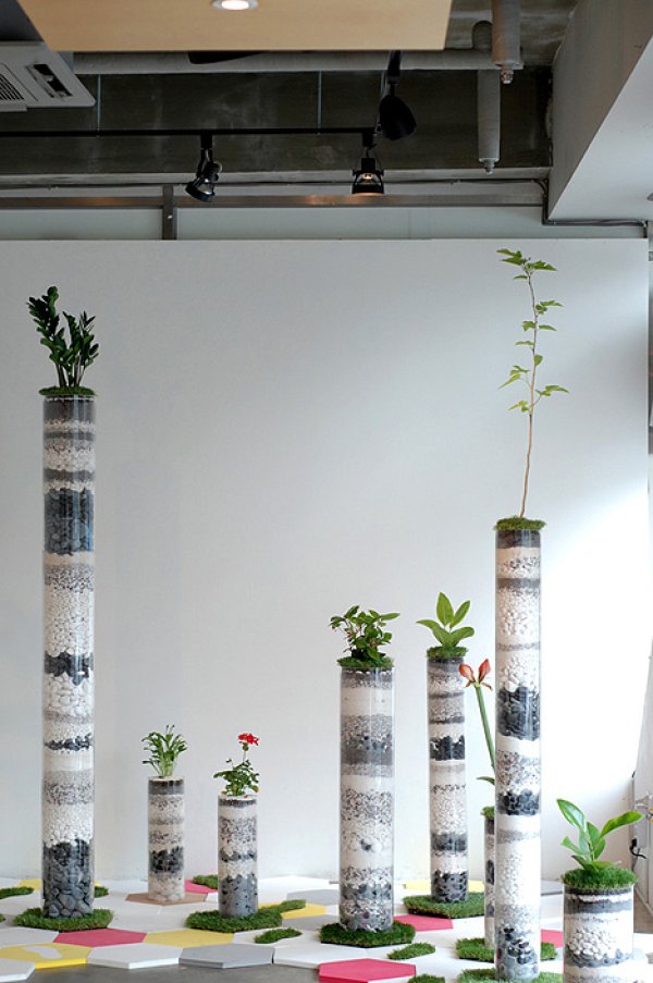 Forest of Soil