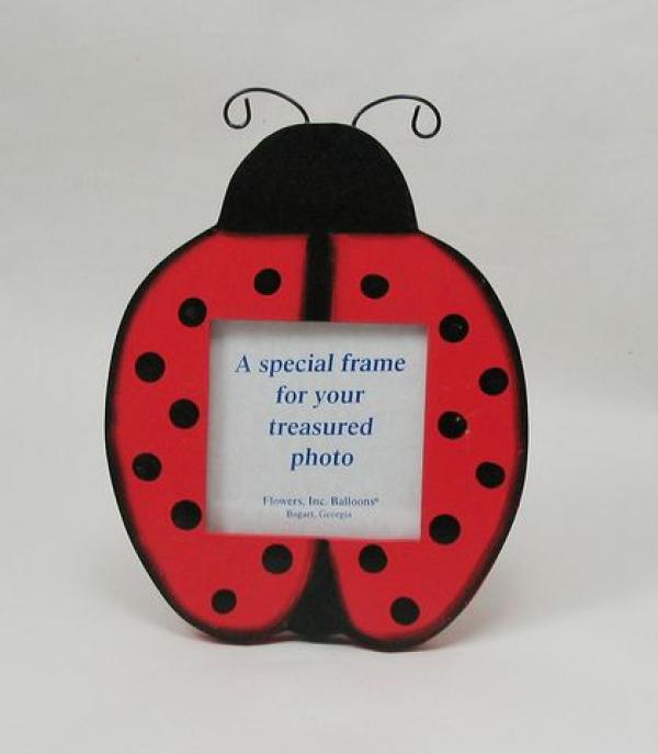 За снимкаСнимка: LadyBug