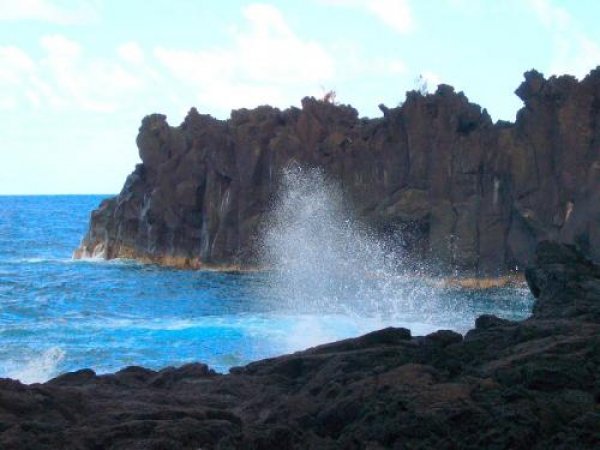 Снимка: Picstropical