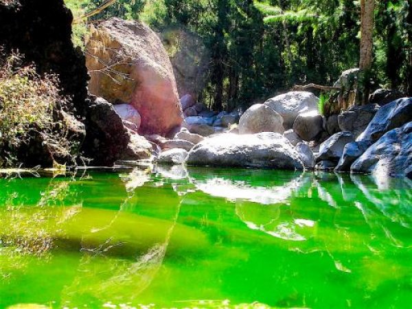 Снимка: Picstropical