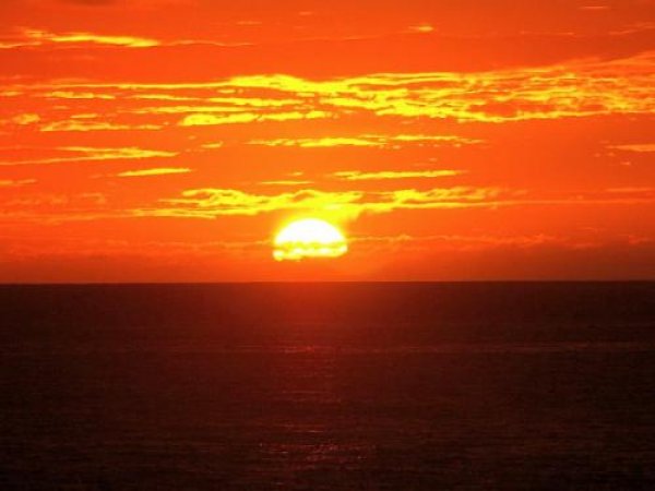 Снимка: Picstropical