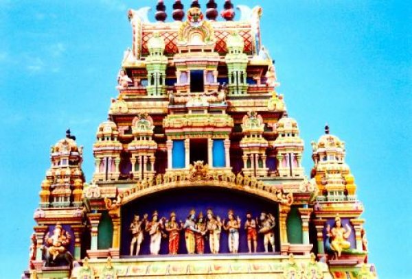 Снимка: Picstropical