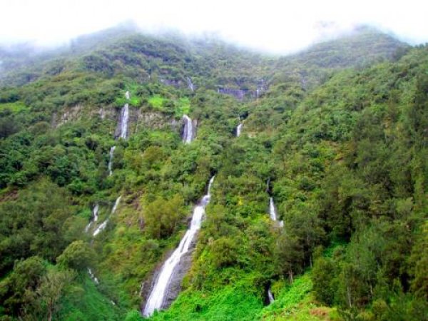 Снимка: Picstropical