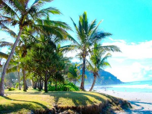 Снимка: Picstropical