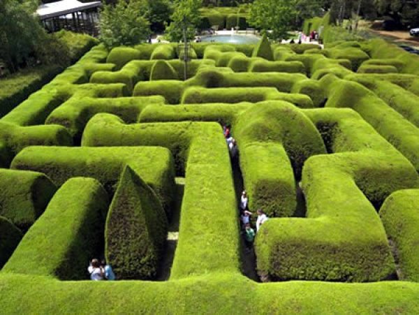Лабиринтът Ashcombe Maze във Виктория, Австралия. Най-старият и най-популярен местен лабиринт от жив плет.