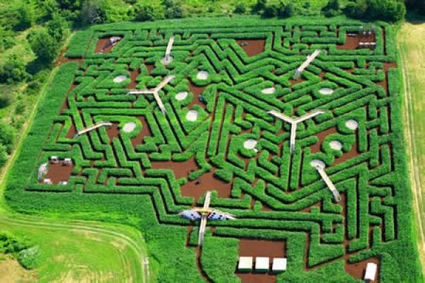 Davis' Mega Maze в щата Масачузец, САЩ. Съществува от 1998 г.