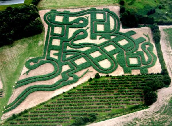 Snake Maze се намира близо до Рочестър, графство Кент, Англия, и е дело на Майкъл Блий. Това е десетият лабиринт на англичанина.