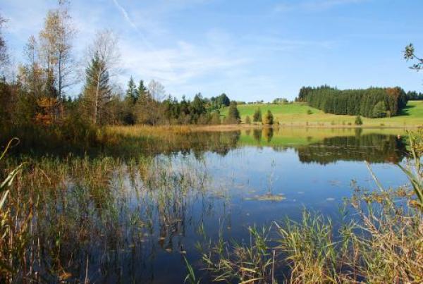 Eзерото Schwaigsee в ГерманияАко ви липсва спокойствие, няма нищо по-успокояващо от няколко часа, прекарани на брега на някое красиво езеро.В Б