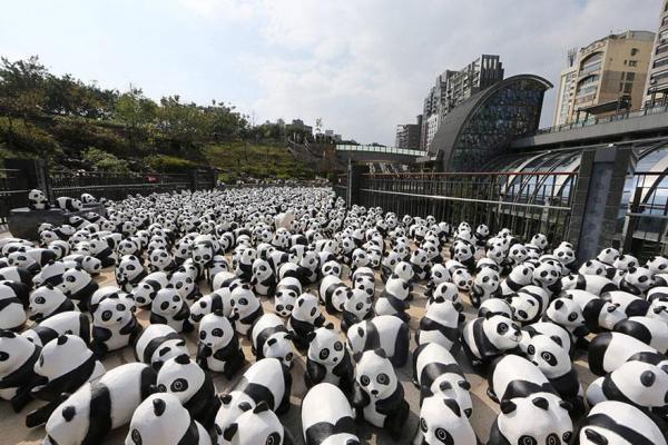 Снимка:  pandasworldtour.tw 