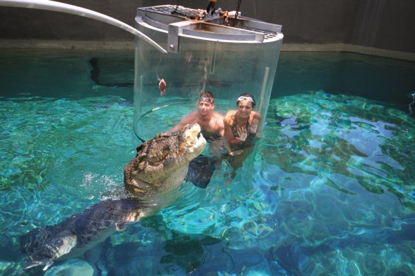 Снимка: crocosauruscove.com