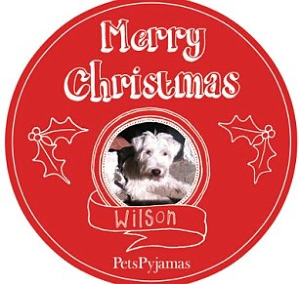 Снимка: Pets At Home