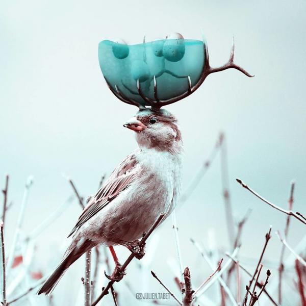 Снимка: Instagram/Julien Tabet